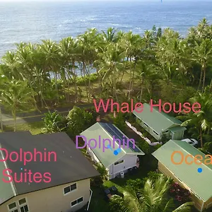 Whale House At Kehena Pahoa